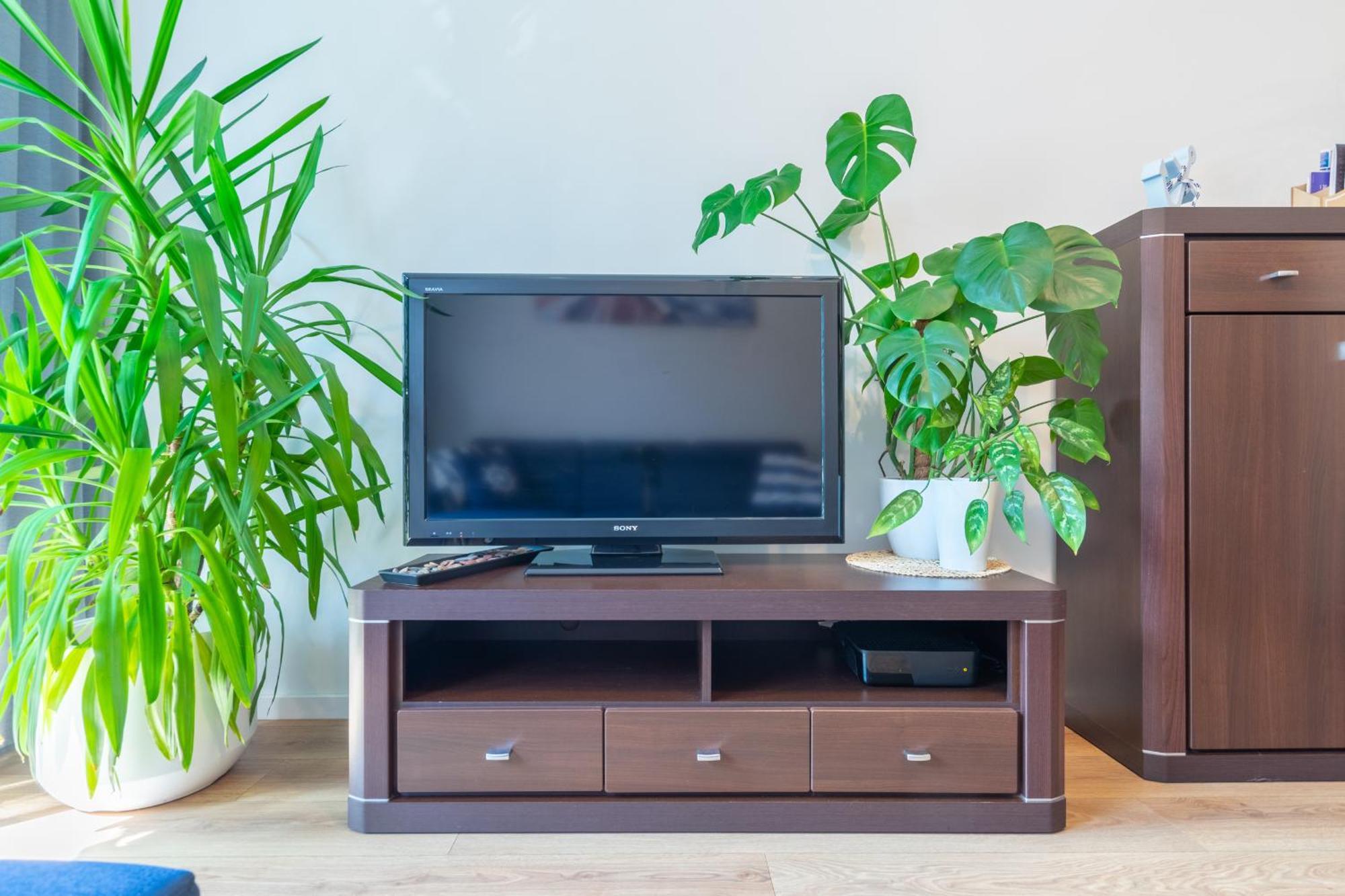 Apartament Anchor Przymorze Gdaňsk Exteriér fotografie
