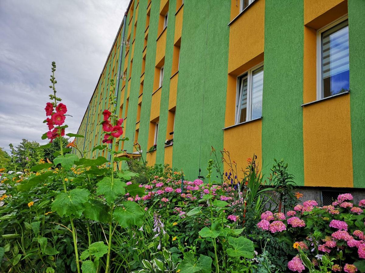 Apartament Anchor Przymorze Gdaňsk Exteriér fotografie